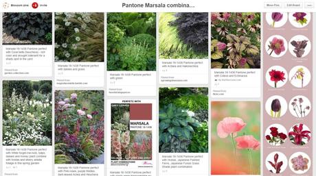 blossom zine marsala board pinterest3