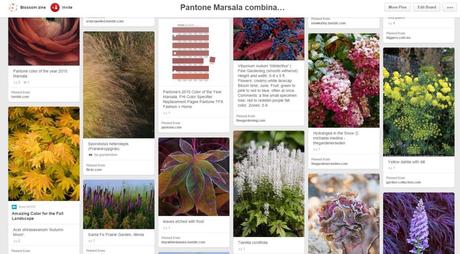 blossom zine marsala board pinterest2