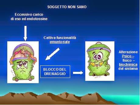 Il Drenaggio terapeutico contro il Sovrappeso