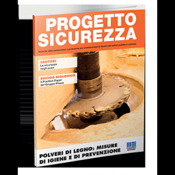 progetto sicurezza Attività ispettiva nei cantieri: gli obiettivi 2015 in materia di sicurezza