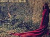 Witchwood Litanies From Woods