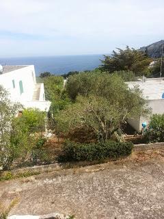 Osservazioni del 3 maggio 2015. SS16 dallo svincolo San Cesario – Cavallino all‘incrocio a Maglie; SS275 da Maglie sino a Montesano Salentino; SP85 sino a Castiglione d’Otranto; SP178 sino a Tricase e SP335 sino a Tricase Porto