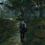 Witcher3-0405-1