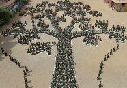 Bangladesh: il taglio illegale dilaga nelle foreste di Bandarban