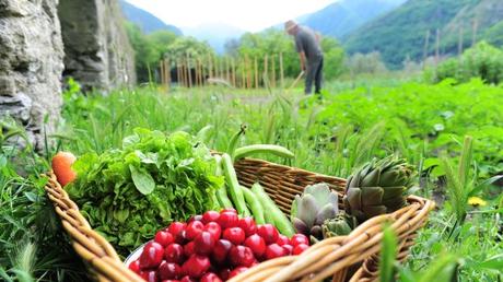 alimentazione e ambiente