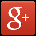 Google+ introduce le Raccolte