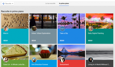 Raccolte  Google 2