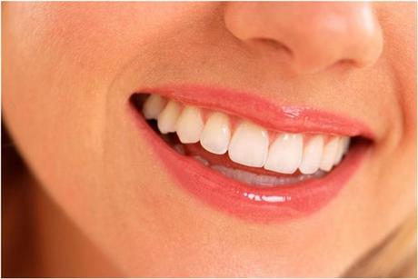 Igiene orale: richiedi i campioni gratuiti Plakkontrol e Fittydent!