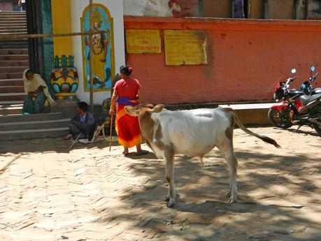 Per non dimenticare il Nepal