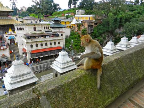 Per non dimenticare il Nepal