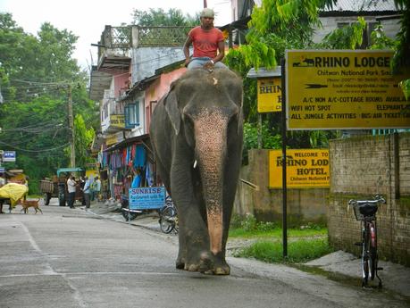 Per non dimenticare il Nepal