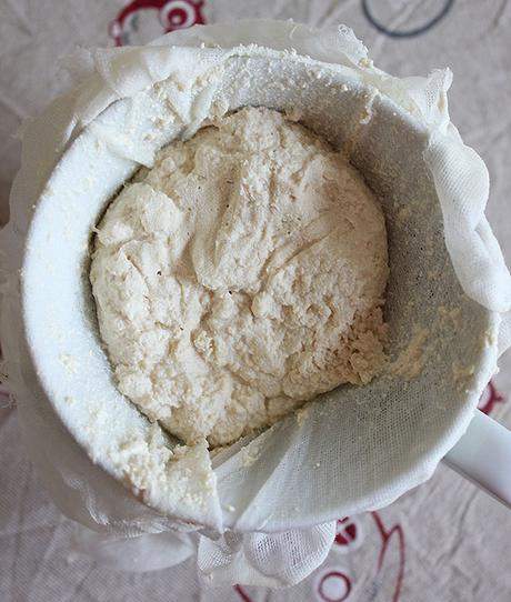 ricotta di soia fatta in casa