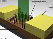 TMD: nuovo materiale l’elettronica