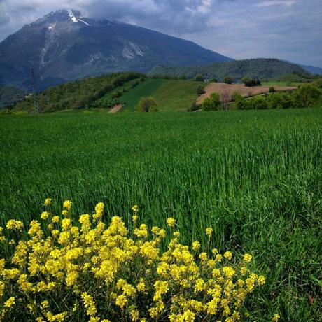 Campli, prezioso borgo d’Abruzzo al sapor di tartufo