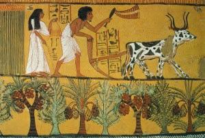 Morti, ma non di fame. Il cibo nell'Antico Egitto.