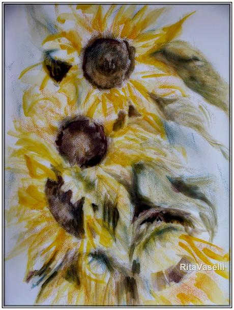 MORNING SKETCH /  GIRASOLI  AL MATTINO