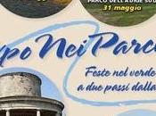 Cinque domeniche parchi