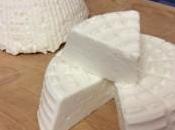 Primosale ricotta