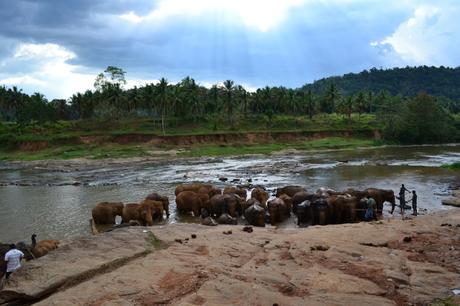 Itinerario tra le città millenarie dello Sri Lanka