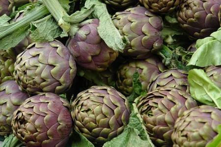 4 sagre da non perdere in Campania: weekend 9-10 maggio 2015 4 sagre da non perdere in Campania: weekend 9-10 maggio 2015