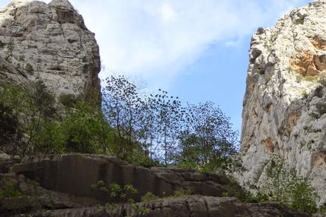 Il canyon Gorropu