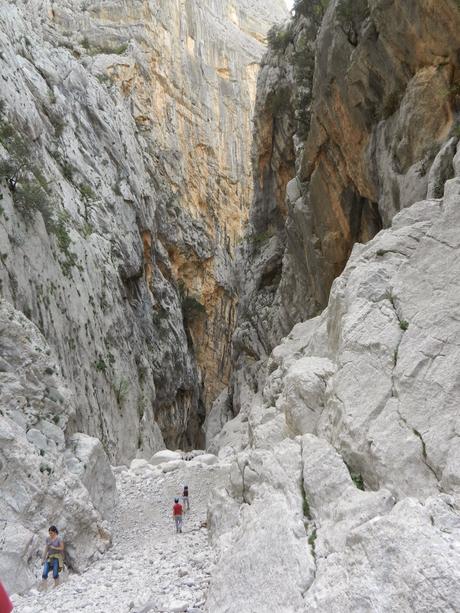 Il canyon Gorropu