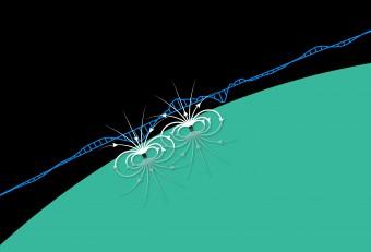 Le linee del campo magnetico (in bianco) dovute alle rocce magnetizzate presenti nella crosta di Mercurio. Mentre la sonda MESSENGER transitava su una regione di magnetizzazione della crosta, il magnetometro di bordo rilevava deboli variazioni del campo magnetico (linee blu). Trattandosi di segnali estremamente piccoli, venivano osservati solo quando la sonda si trovava molto vicino al pianeta. Crediti: NASA, University of British Columbia
