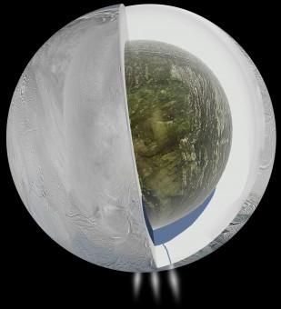 Spaccato dell’interno di Encelado così come lo si può ipotizzare in base ai dati gravitazionali raccolti da Cassini. Dati che suggeriscono un guscio esterno ghiacciato, un nucleo roccioso poco denso e, nel mezzo, verso il polo sud e dunque al di sotto dei pennacchi, un oceano d’acqua. Crediti: NASA/JPL-Caltech
