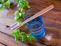 Colluttorio alla Salvia fai da te per alito fresco e gengive sane