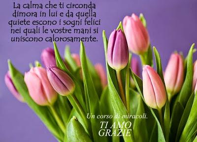 Ogni pensiero di amore che offrirai non fa che avvicinarti più al tuo risveglio, alla pace eterna e alla gioia infinita. Parte 2.