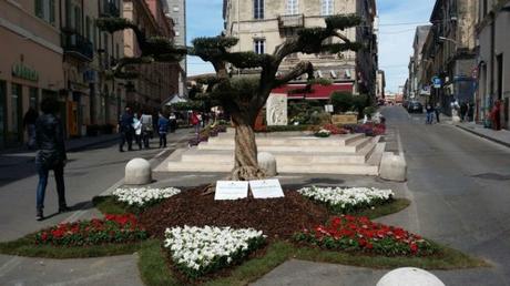 Largo Brigata Sassari in fiore sino al 10 maggio