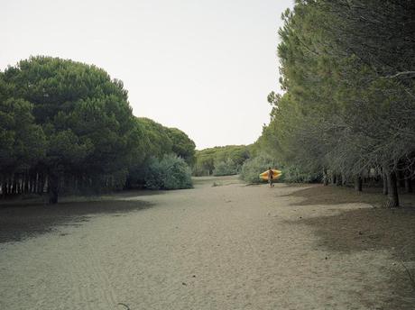 FOTOGRAFIA: Shane Lynam, la costa francese 50 anni dopo