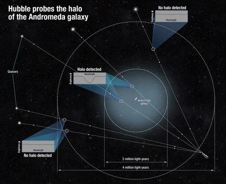 Questo schema mostra come hanno fatto gli scienziati a determinare la dimensione dell'alone della galassia di Andromeda. Poiché il gas dell'alone non emette luce, il team ha osservato la luce dei quasar che attraversava il gas. Il gas del'alone, infatti, assorbe in parte la luce del quasar, rendendola meno intensa in un breve intervallo di lunghezze d'onda. Misurando la diminuzione luminosità di tale intervallo, gli scienziati sono in grado di stimare la quantità di gas presente tra noi e il quasar. Alcuni quasar presenti nel campo di vista non hanno mostrato questa diminuzione di luminosità, permettendo di definire con precisione la dimensione dell'alone. Crediti: NASA, ESA, and A. Feild (STScI)