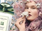 PROFUMO: Collezione BLUE SKIES BLOSSOM MALONE LONDON