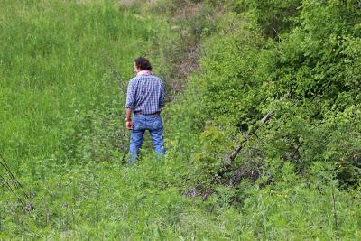 ripensando al primo maggio, ai compleanni e alle passeggiate