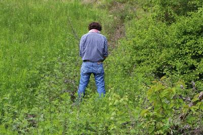 ripensando al primo maggio, ai compleanni e alle passeggiate