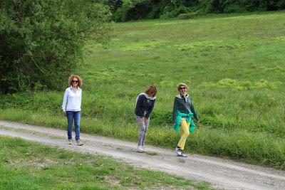 ripensando al primo maggio, ai compleanni e alle passeggiate