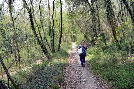 incisioni rupestri e monte luppia da punta san vigilio