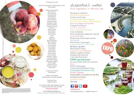 N9 Summer 2015 Blossom zine pag 2-3