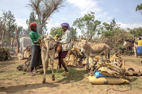 7 mila miglia intorno al mondo #38: injera e caffè… ecco l’Etiopia