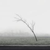 Le fotografie di Paul Hoi