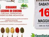 Lezione cucina: curcuma, peperoncino, zenzero erbe aromatiche presso Fasoli Piante