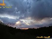 anche solo vederle passare