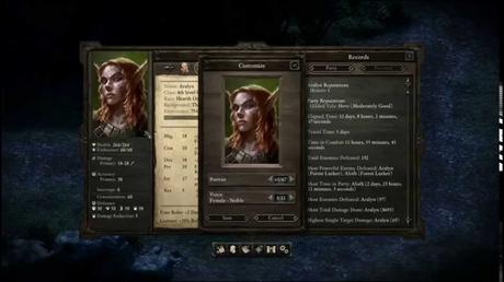 Pillars of Eternity - Videodiario sulla patch 1.05