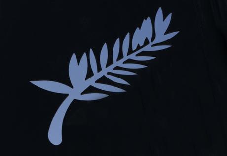 cannes-2015_oggetto_editoriale_720x600