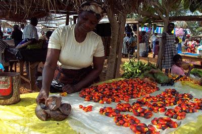 Olio di palma e Africa