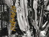 STROMBOLI, Stromboli