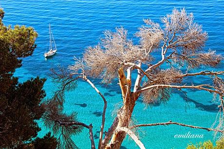 La Costa Azzurra : da Nizza a Cannes passando per Mentone