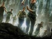Considerazioni Maze Runner Labirinto
