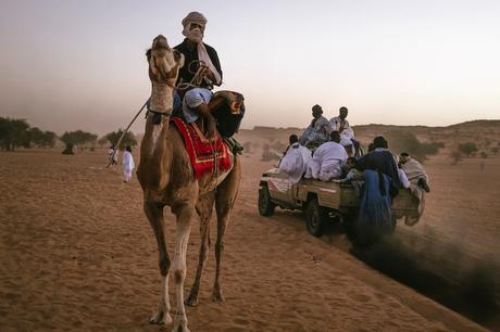 06_guida_composizione_cammello_deserto